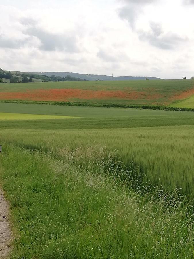 شقة Zantnhof Rohrabrunn المظهر الخارجي الصورة